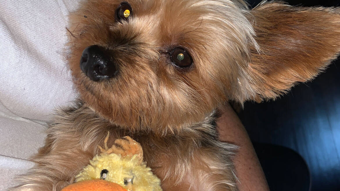 Rascal with his best friend, Ducky!